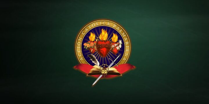 77º Informe sobre a Página Web da Santa Igreja Palmariana